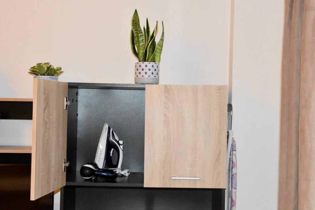 Pricop Residence بايا ماري المظهر الخارجي الصورة