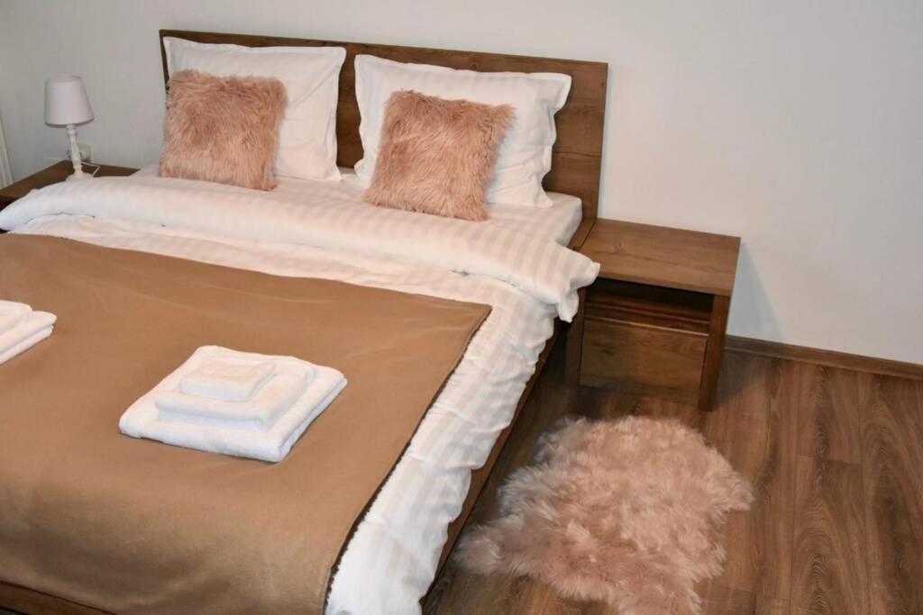Pricop Residence بايا ماري المظهر الخارجي الصورة
