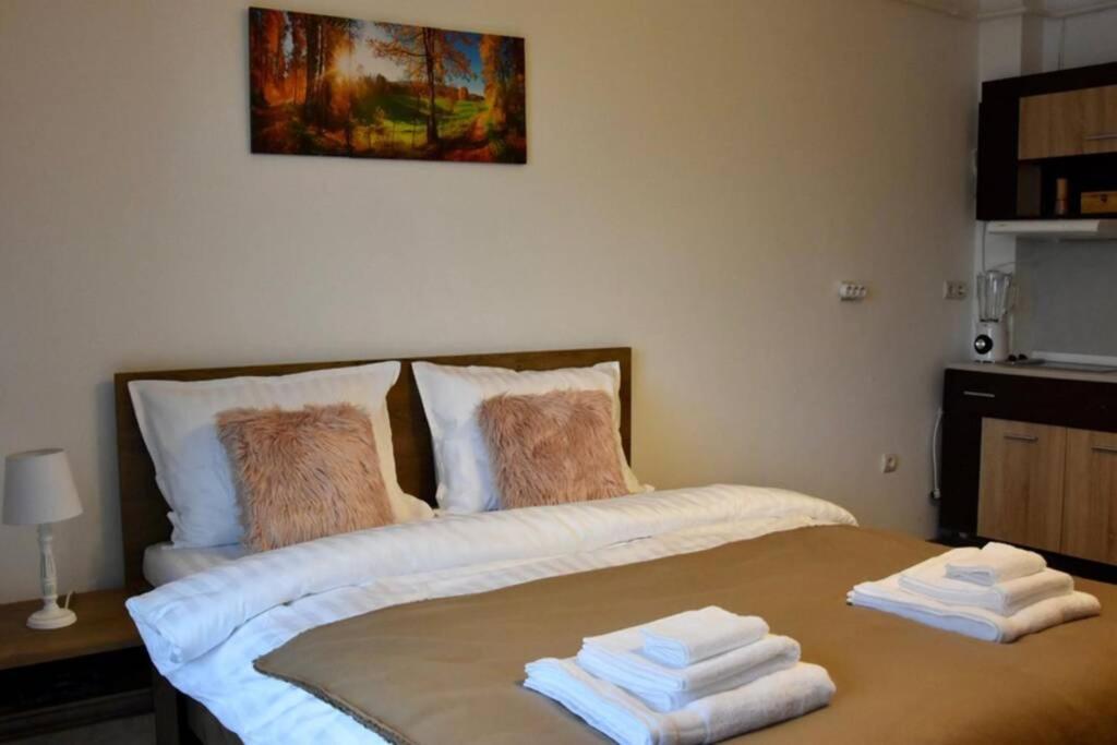 Pricop Residence بايا ماري المظهر الخارجي الصورة